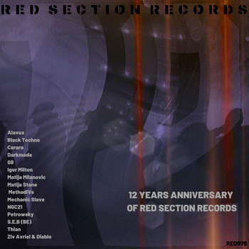 Various Artists - 12 Year Aniversary of Red Section Records