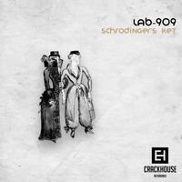 Lab-909 - Schrödinger's Ket