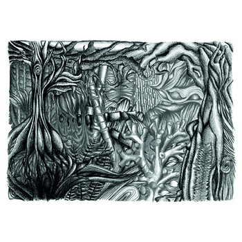 Kaval - Swamps