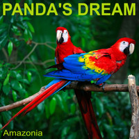 Panda's Dream - Amazonia