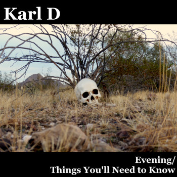 Karl D / - Evening / Things You'll Need to Know