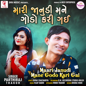 Parthiraj Thakor - Maari Janudi Mane Godo Kari Gai