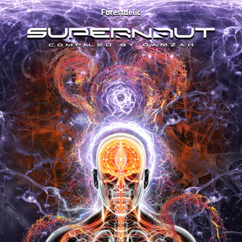 Various Artists - Supernaut