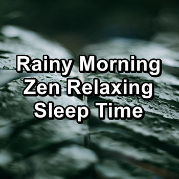 Rain Storm & Thunder Sounds - Rainy Morning Zen Relaxing Sleep Time