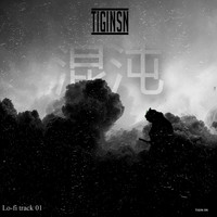 Tigin Sn - Lo-Fi Track 01