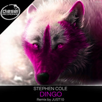 Stephen cole - Dingo