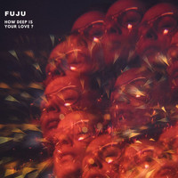 Fuju / Fuju - How Deep Is Your Love ?