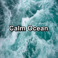 Ocean Sounds for Sleep - Calm Ocean