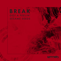 Break - Got A Feelin' / Sesame Seeds