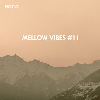 HOTQ - Mellow Vibes, Vol. 11