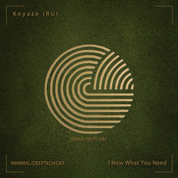 Knyazev (RU) - I Now What You Need