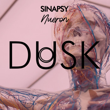 Sinapsy - Nueron