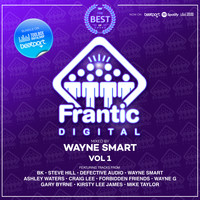 Wayne Smart - Best Of Frantic Digital, Vol. 1