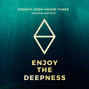 Various Artists - Enjoy The Deepness (Groovy Deep-House Tunes)