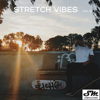 Various Artists - Stretch Vibes, Vol. 13
