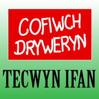 Tecwyn Ifan - Cofiwch Dryweryn (Yn Fyw)
