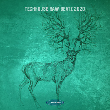 Various Artists - Techhouse Raw Beatz 2020
