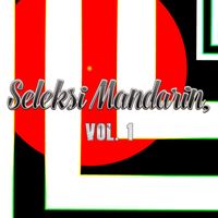 X - Seleksi Mandarin, Vol. 1