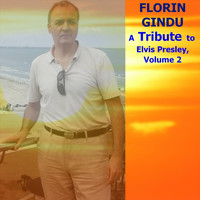 Florin Gindu - A Tribute to Elvis Presley, Vol. 2