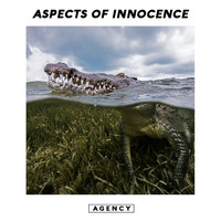 Agency - Aspects of Innocence