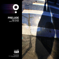 Prelude - The Pluck
