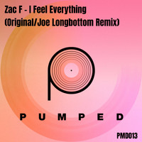 Zac F - I Feel Everything