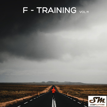Various Artists - F-Training, Vol. 11