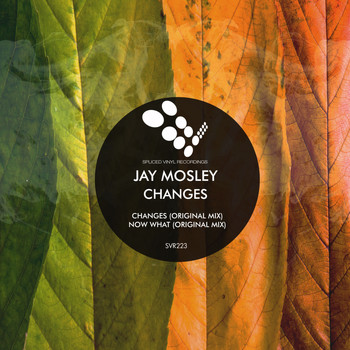 Jay Mosley - Changes
