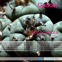 Grinder - Lophophora