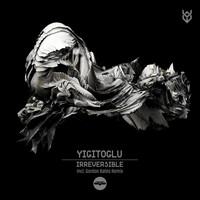 Yigitoglu - Irreversible