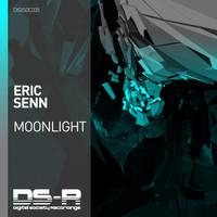 Eric Senn - Moonlight