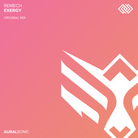 ReMech - Exergy
