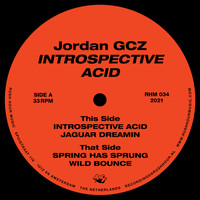 Jordan GCZ - Jaguar Dreamin