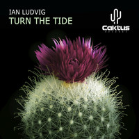 Ian Ludvig - Turn The Tide