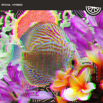 Rycha - Hybrid