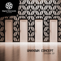 Unknown Concept - Enigma
