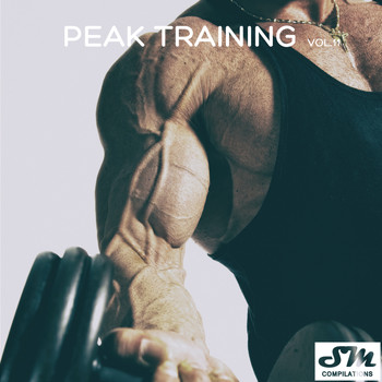 Various Artists - Peak Training vol.11