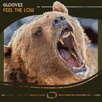 Gloovez - Feel The Low