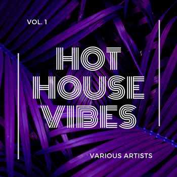 Various Artists - Hot House Vibes, Vol. 1