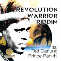 Ted Ganung - Revolution Warrior Riddim