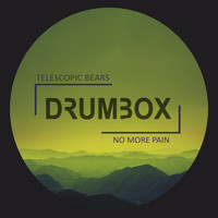 Telescopic Bears - No More Pain