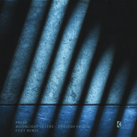 Darjush Fassih - Moonlight Layers (Foxy Remix)