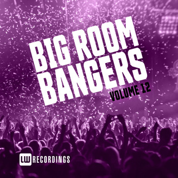 Various Artists - Big Room Bangers, Vol. 12