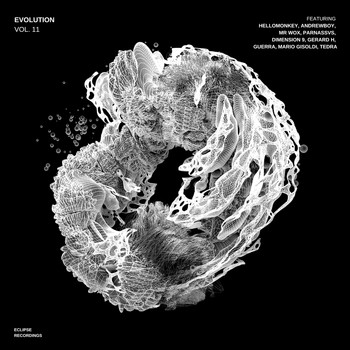 Various Artists - Evolution, Vol. 11