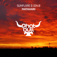 Sunflare & ion.B - Matahari