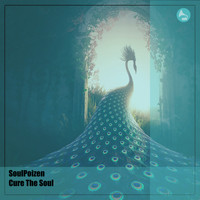 Soulpoizen - Cure The Soul