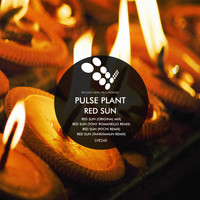 Pulse Plant - Red Sun