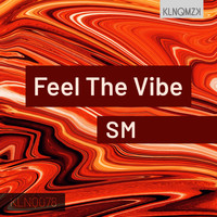SM - Feel The Vibe