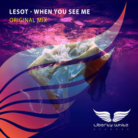 LESOT - When You See Me