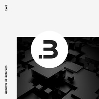 2WB - Grown Up Remixes